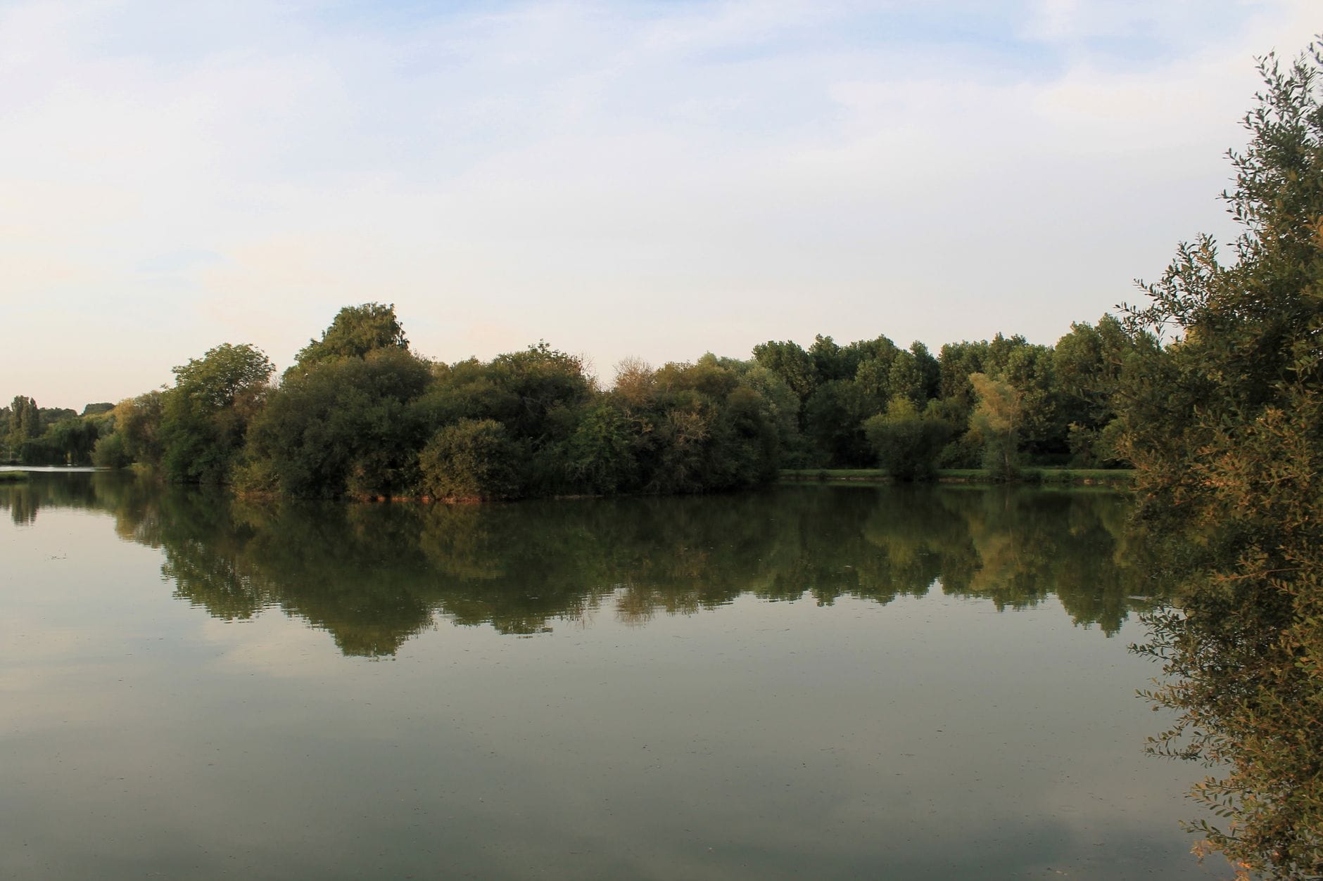 Spokojne jezioro otoczone zielenią w słoneczny letni dzień